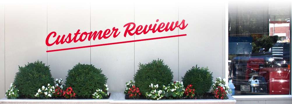 Review Footer - Ravensworth Shell